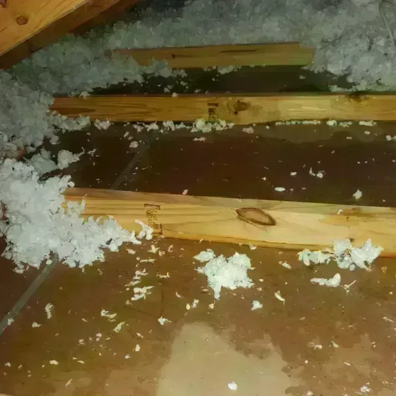 Attic Water Damage in Peridot, AZ