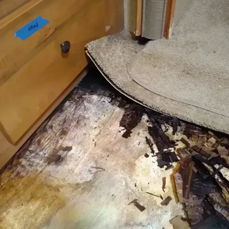 Wood Floor Water Damage in Peridot, AZ